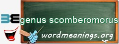 WordMeaning blackboard for genus scomberomorus